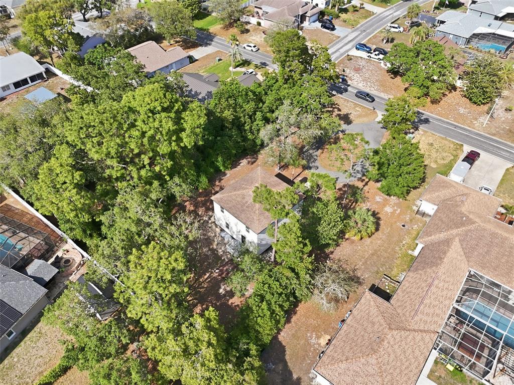5065 Plumosa Street Spring Hill, FL 34607 - Photo 41 of 52