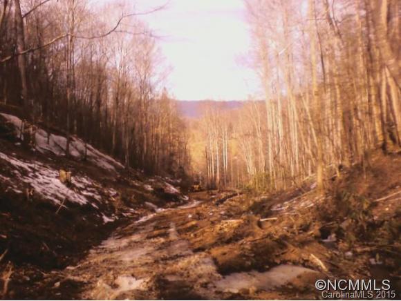 1 Laurel Branch Road Canton, NC 28716 - Photo 4 of 9