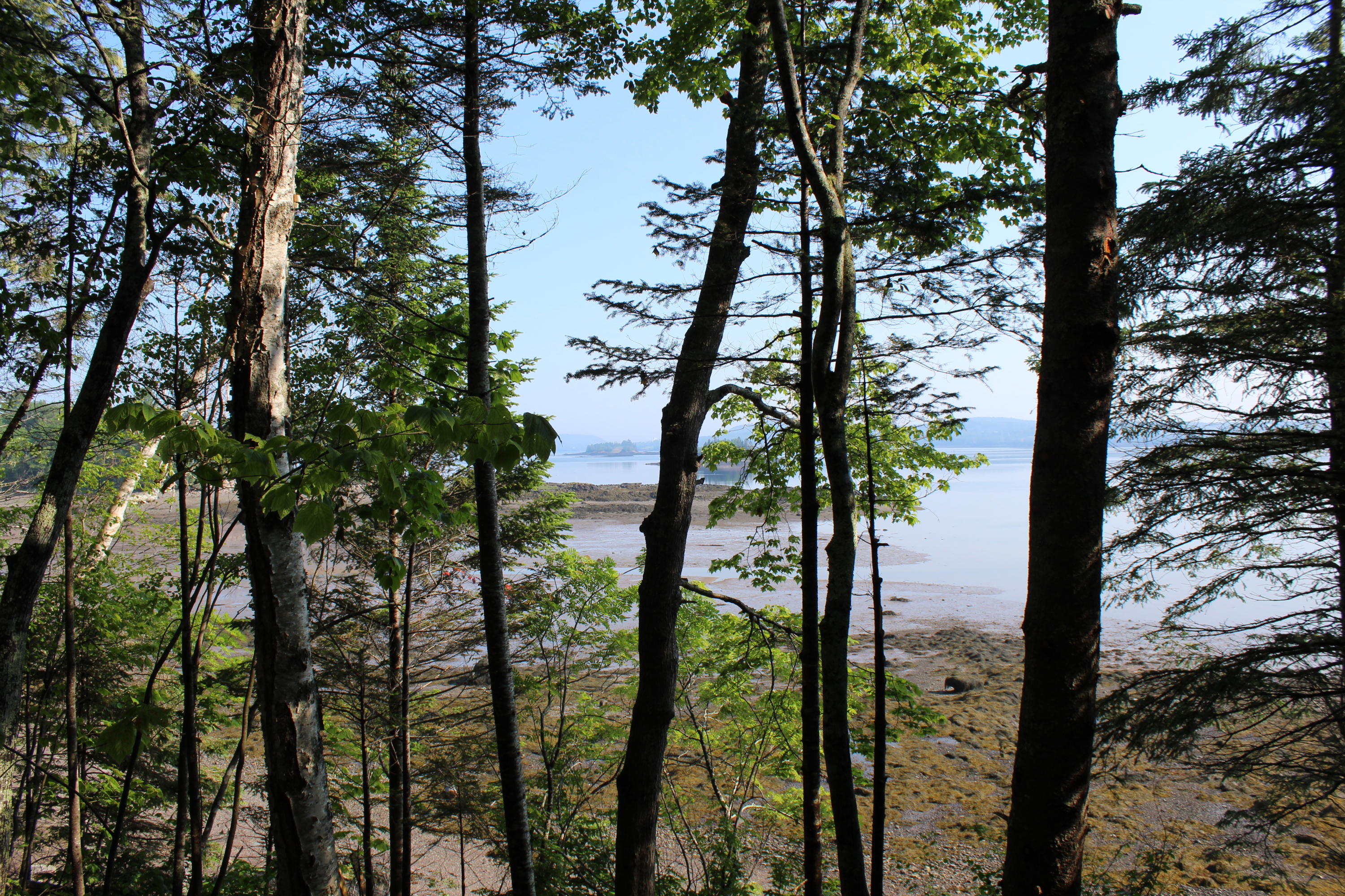 1 Wing Way Robbinston, ME 04671 - Photo 40 of 47 IMG_4124