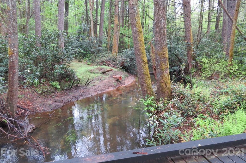 L46 Stones Lake Road Cedar Mountain, NC 28718 - Photo 1 of 16 a yard with trees