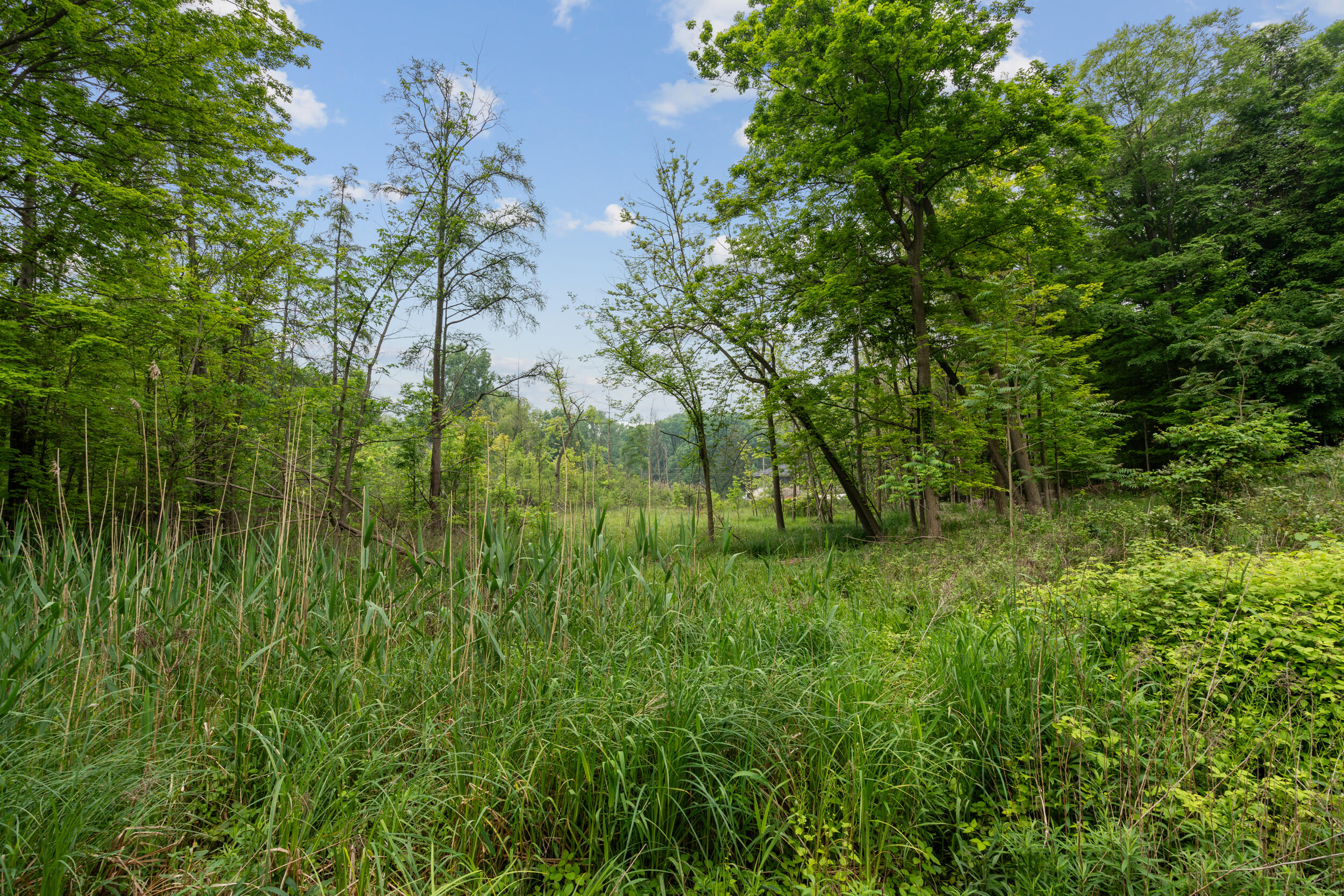 36300 Howard Road Farmington, MI 48331 - Photo 11 of 26 11_36300 howard rd_031