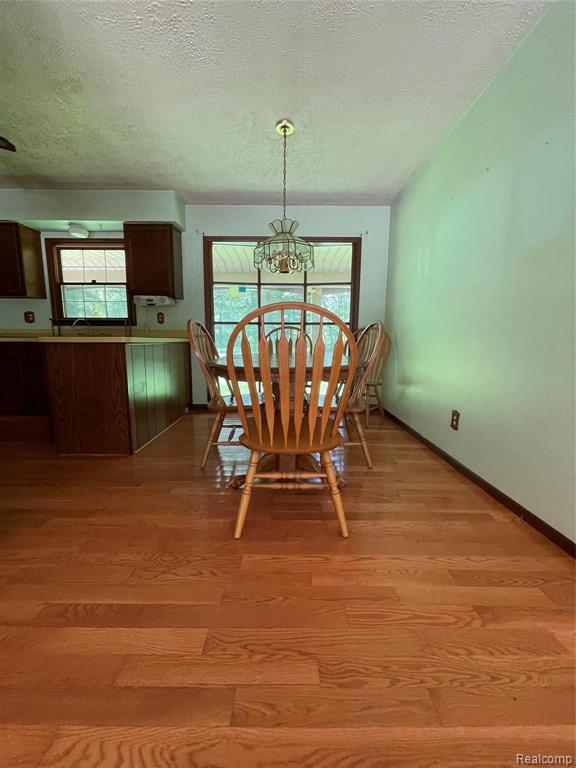 103 South Hughes Road Howell, MI 48843 - Photo 6 of 17