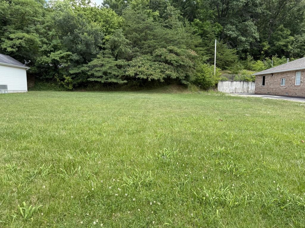 Midland Trail Ashland, KY 41102 - Photo 5 of 5