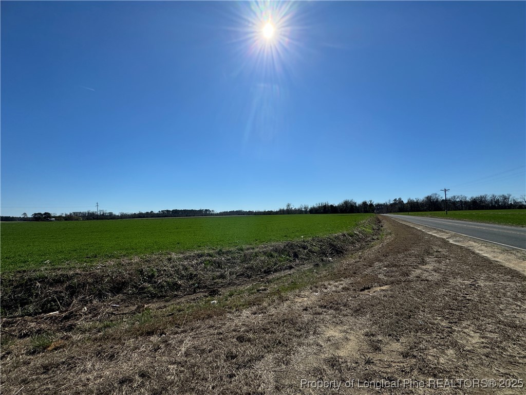 615 Butler Road Rowland, NC 28383 - Photo 3 of 7 a view of a lake and a yard