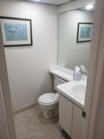 a bathroom with a toilet sink and mirror