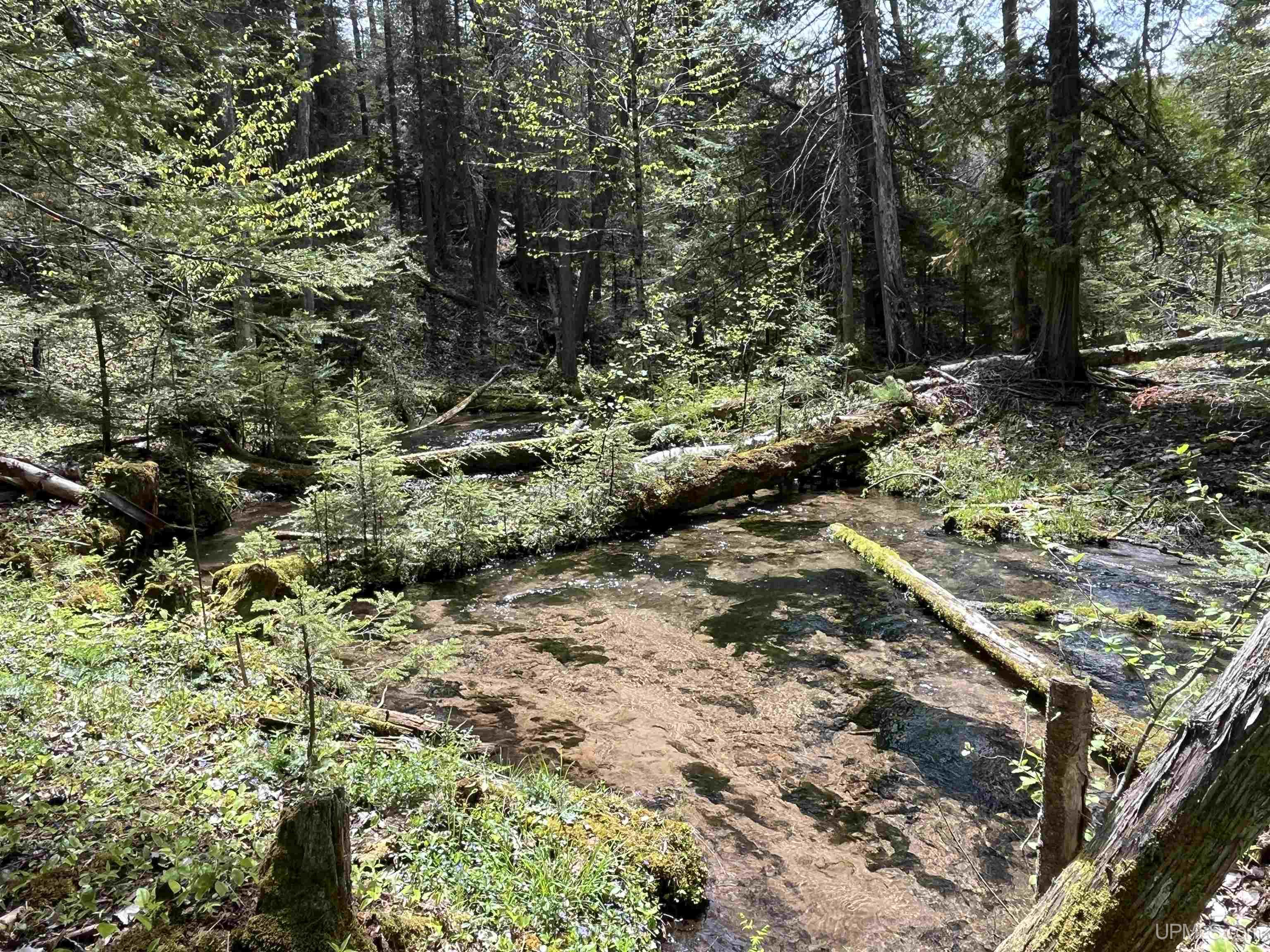 38-acres County Rd NA Road Marquette, MI 49855 - Photo 40 of 70
