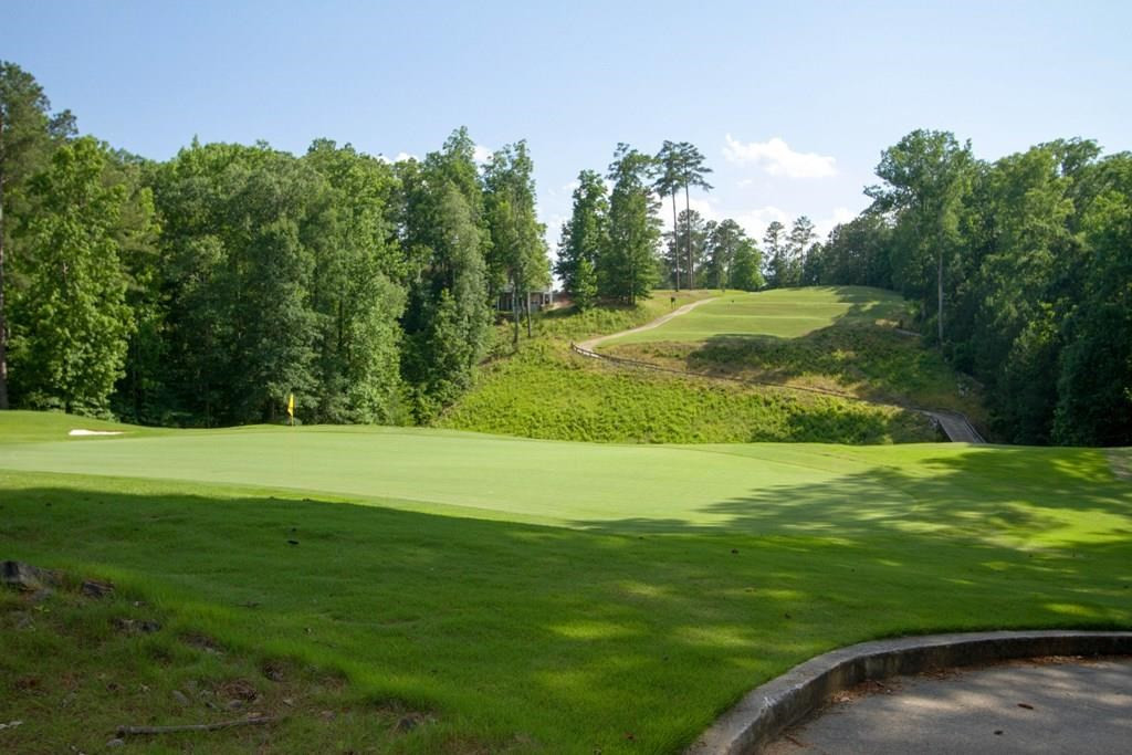 L1-b47 Maxwell Lane McCormick, SC 29835 - Photo 6 of 32