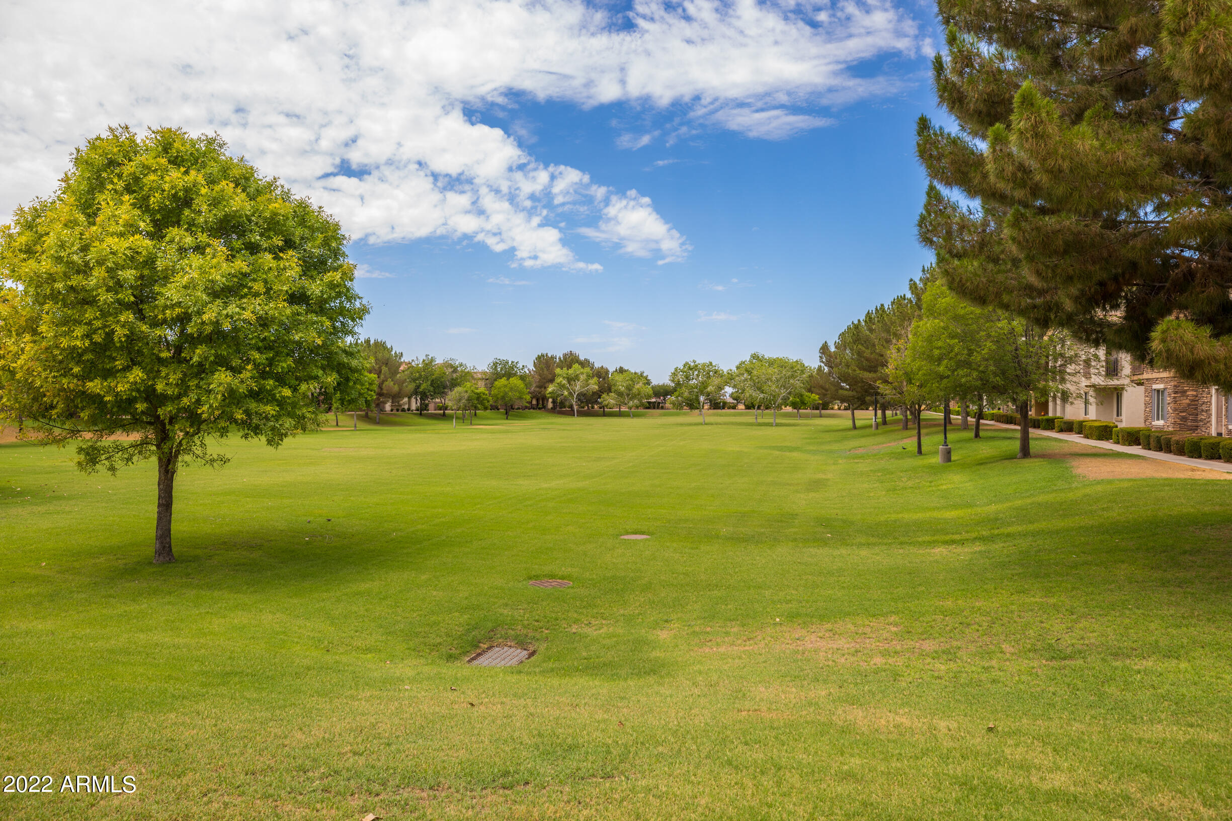 929 South Storment Lane Gilbert, AZ 85296 - Photo 29 of 44 7D3A7700