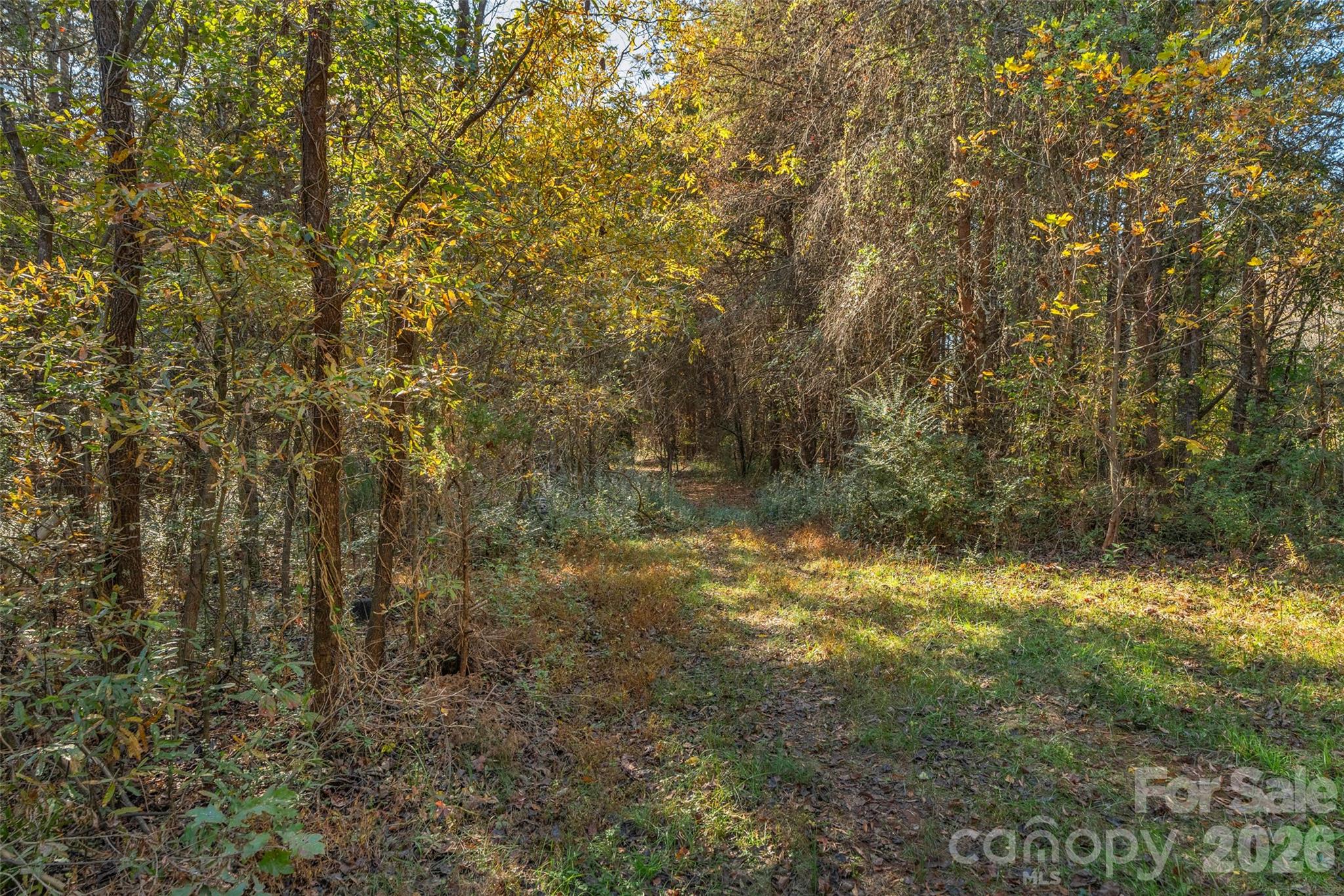 0 Bud Davis Road, Unit 8 Vale, NC 28168 - Photo 19 of 28