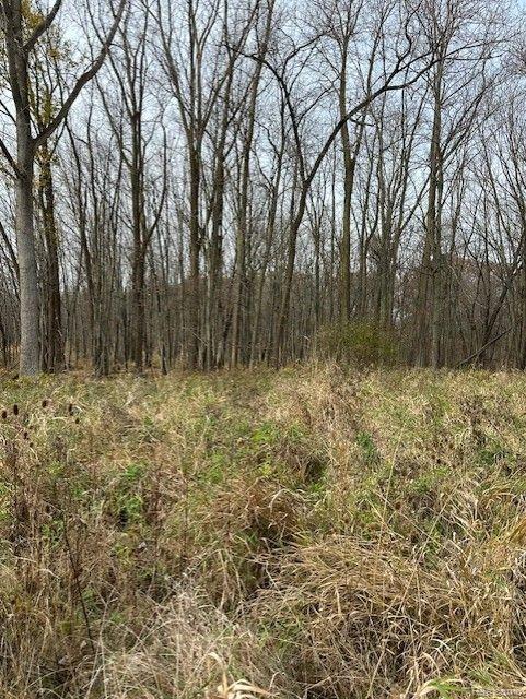 8438 Jordan Road Grand Blanc, MI 48439 - Photo 9 of 32