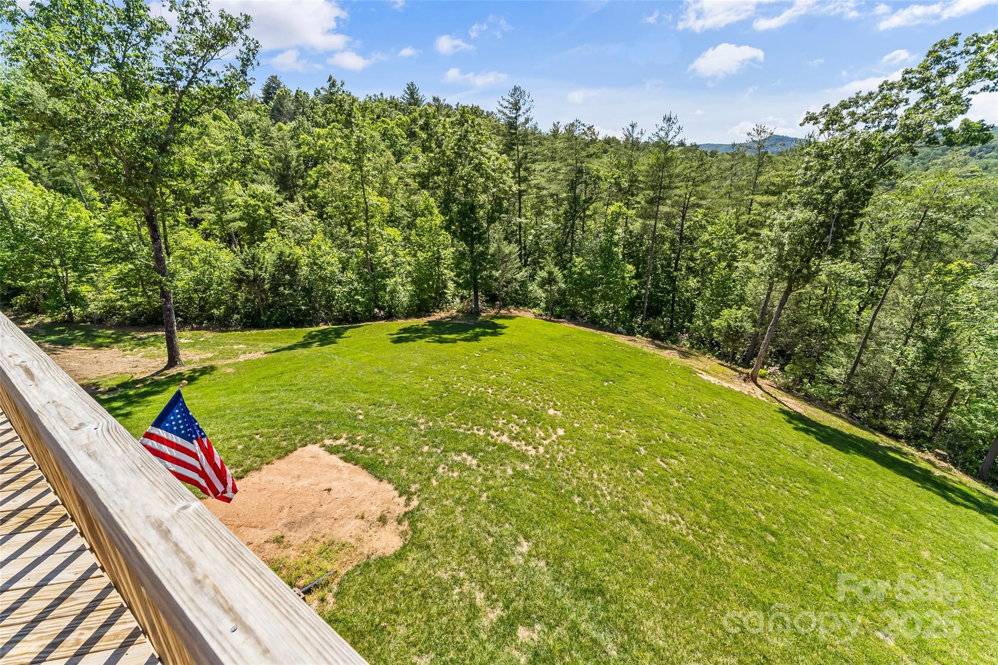 2508 Wolf Pit Road Morganton, NC 28655 - Photo 15 of 48 a view of a backyard with plants