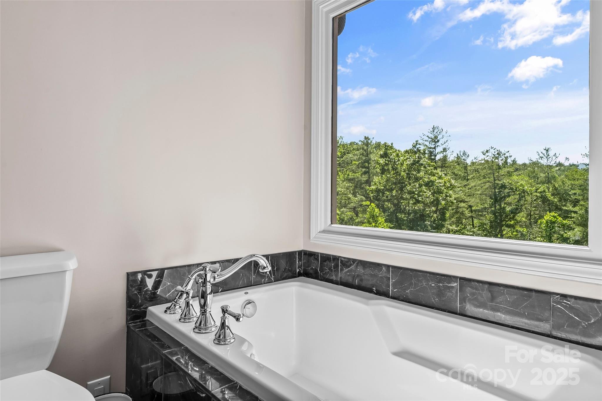 2508 Wolf Pit Road Morganton, NC 28655 - Photo 17 of 48 a bathroom with a bathtub and a window