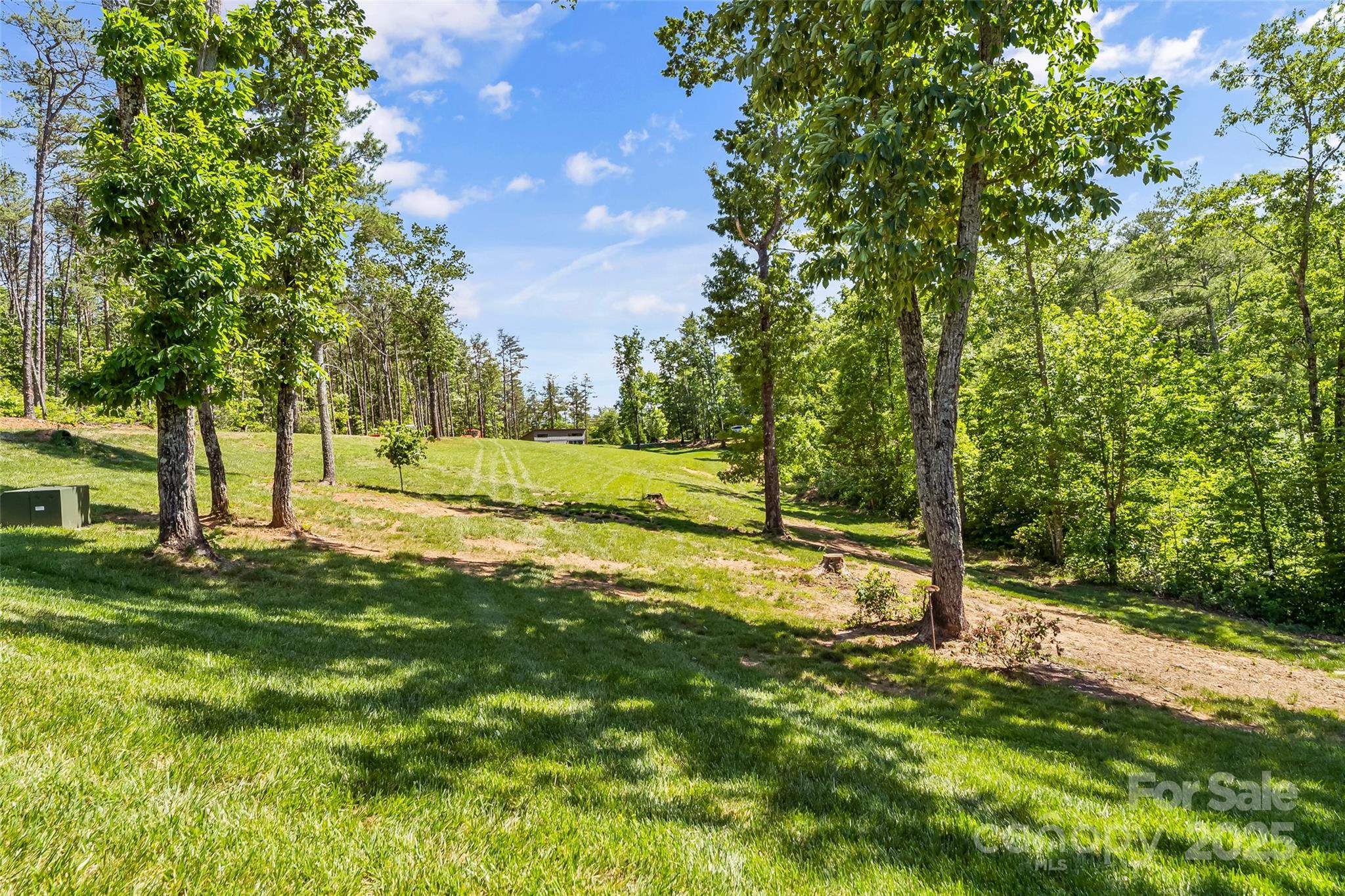 2508 Wolf Pit Road Morganton, NC 28655 - Photo 30 of 48 a view of a trees with a backyard