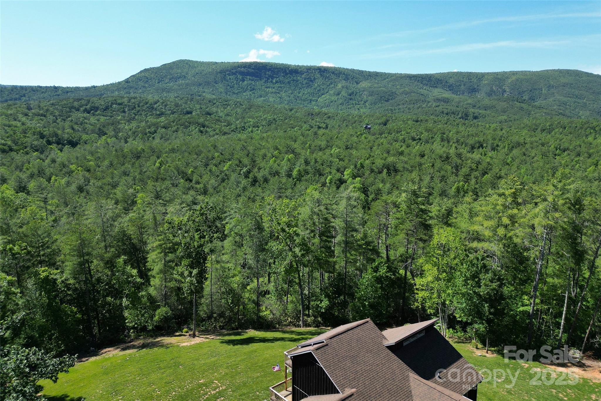 2508 Wolf Pit Road Morganton, NC 28655 - Photo 32 of 48 an aerial view of a house with mountain view