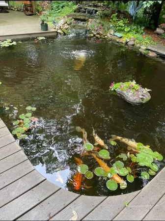 $269,900 | 982 Woodworth Street Northeast, Grand Rapids, MI 49525