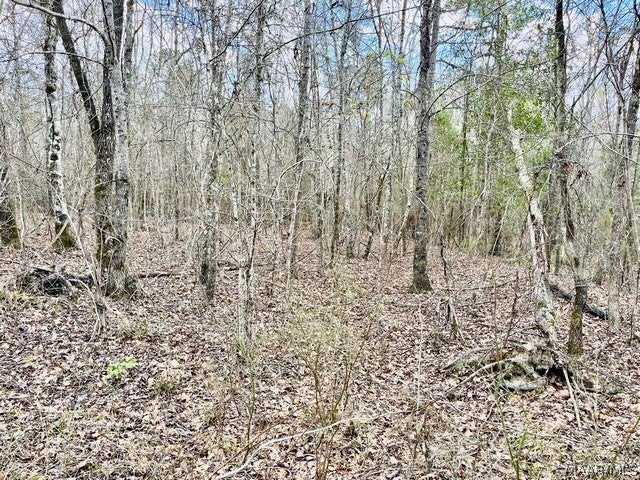 1530 Union Road Eclectic, AL 36024 - Photo 11 of 22 Gallery Image 11