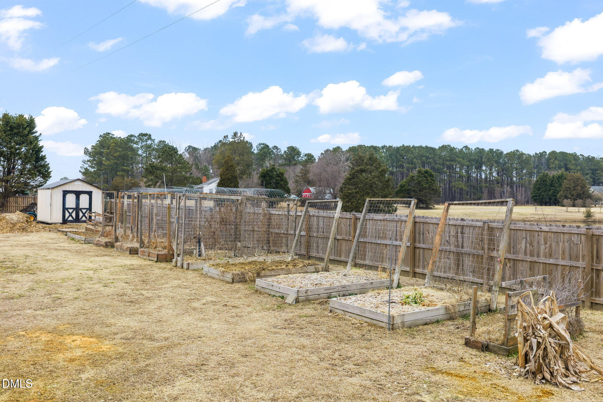 16 Saddle Ridge Drive Willow Spring, NC 27592 - Photo 46 of 53 Backyard