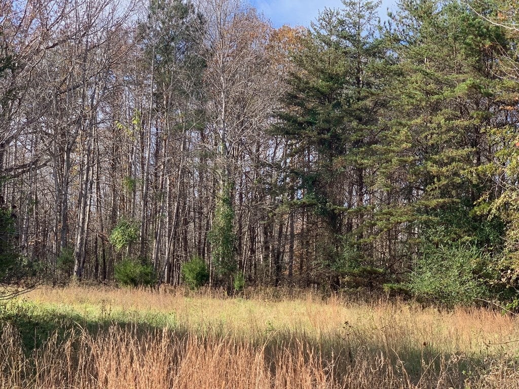 0 Vista Valley Road, Unit 31 New Canton, VA 23123 - Photo 16 of 25 Gallery Image 16