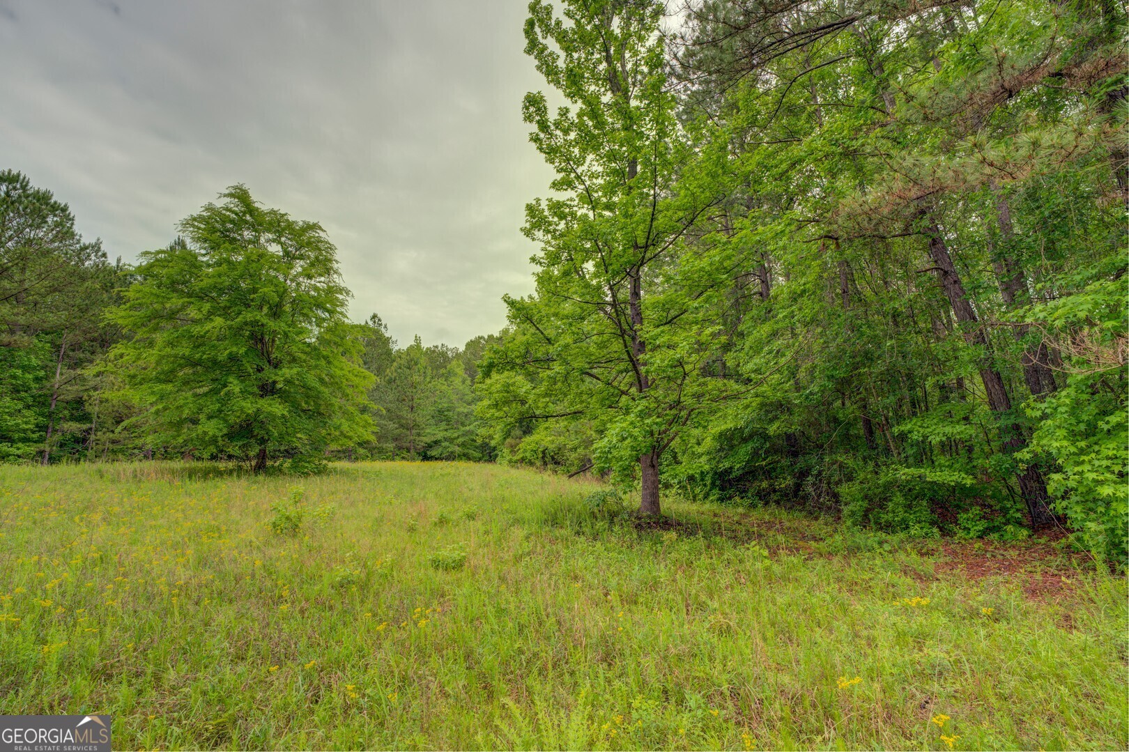 0 Post Road, Unit TRACT C 43 44 Shady Dale, GA 31085 - Photo 2 of 7 a view of a garden with a tree