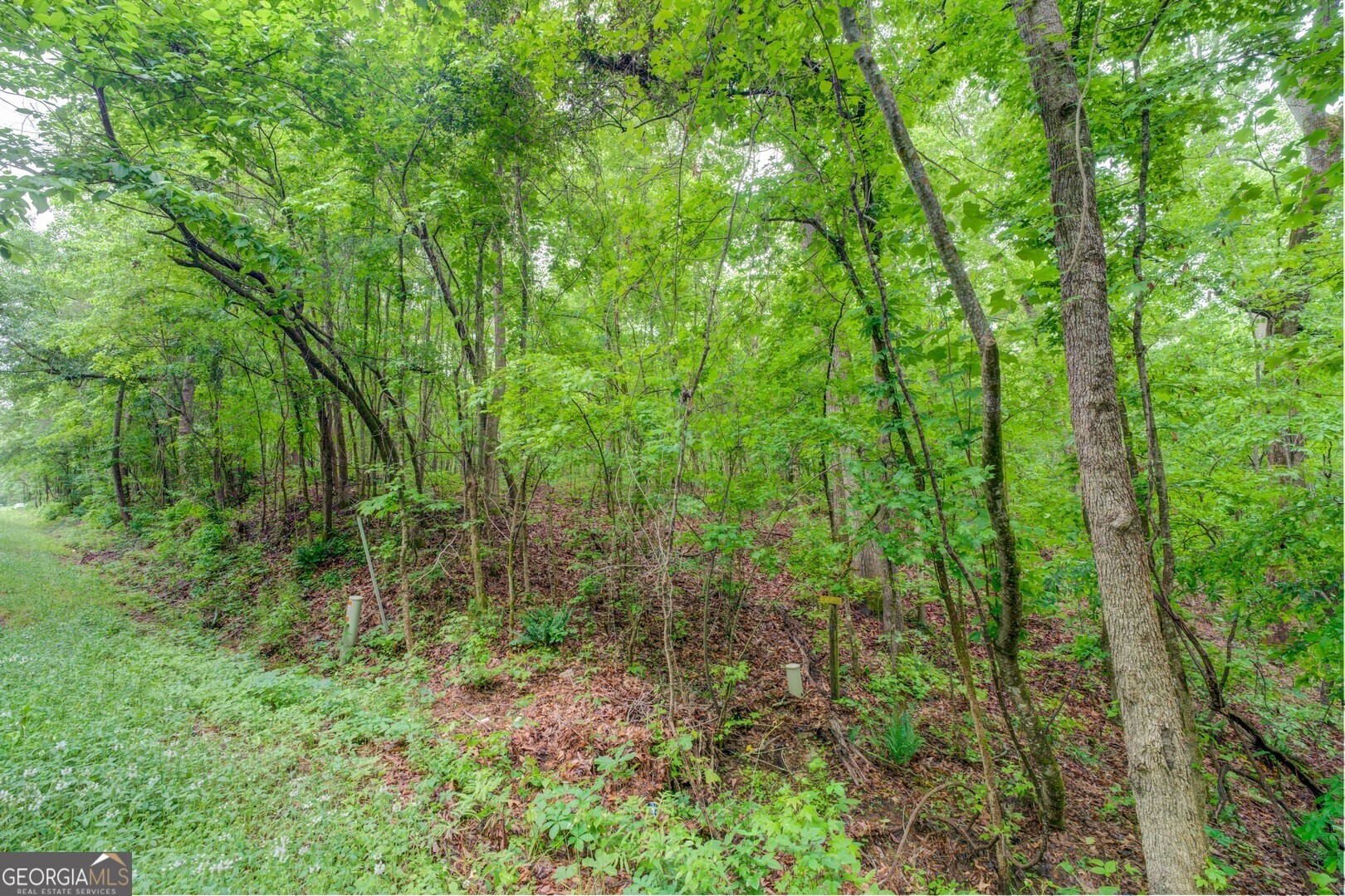 0 Post Road, Unit TRACT C 43 44 Shady Dale, GA 31085 - Photo 5 of 7