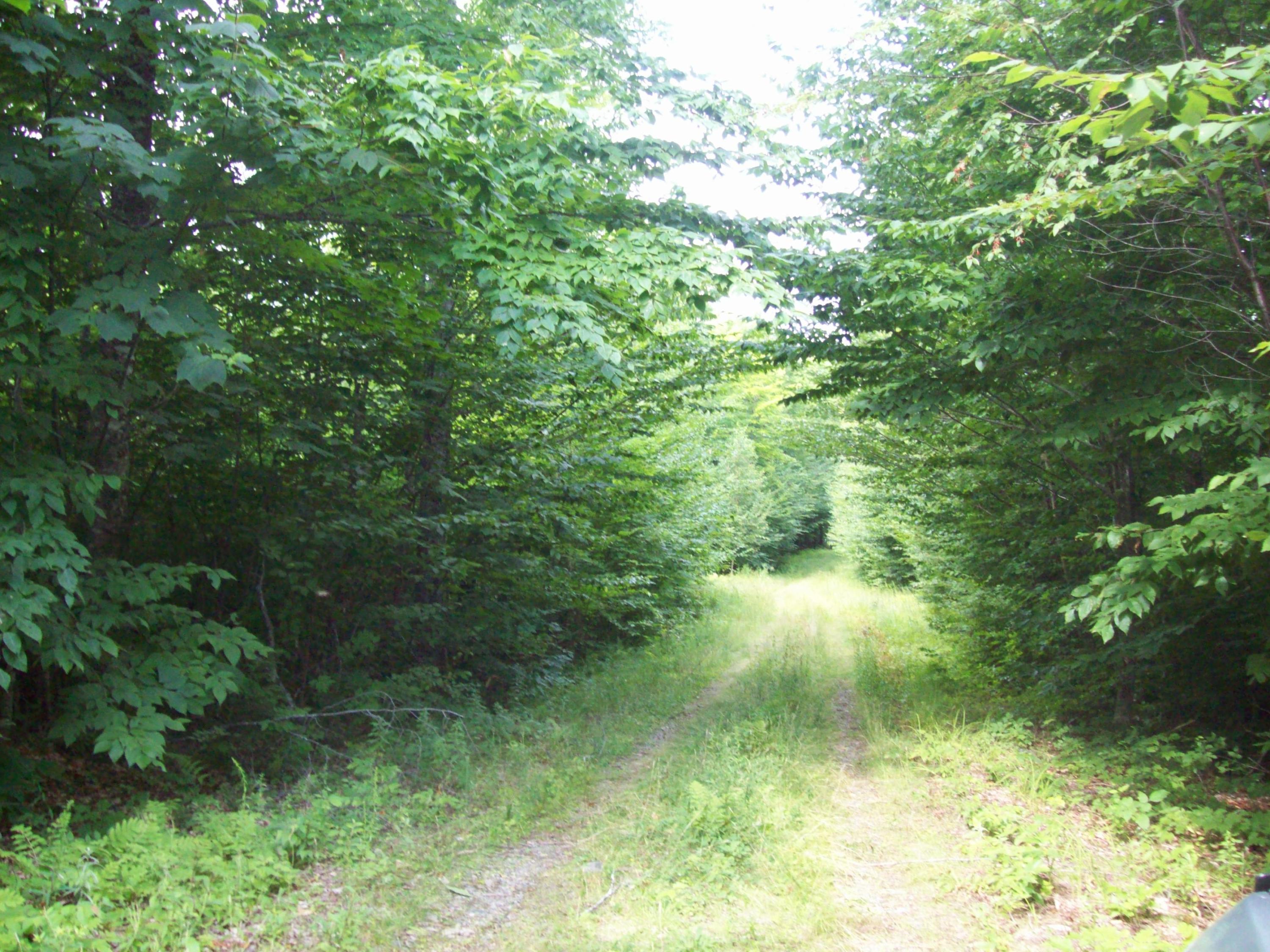 Tbd Stevens Road Carroll Plt, ME 04487 - Photo 4 of 19 100_0512