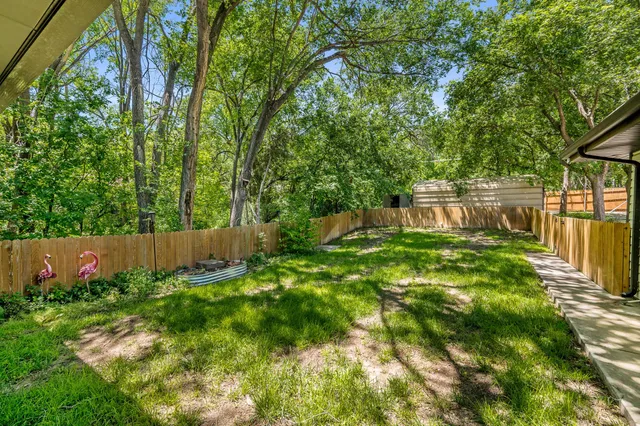 a view of a backyard with plants and large trees