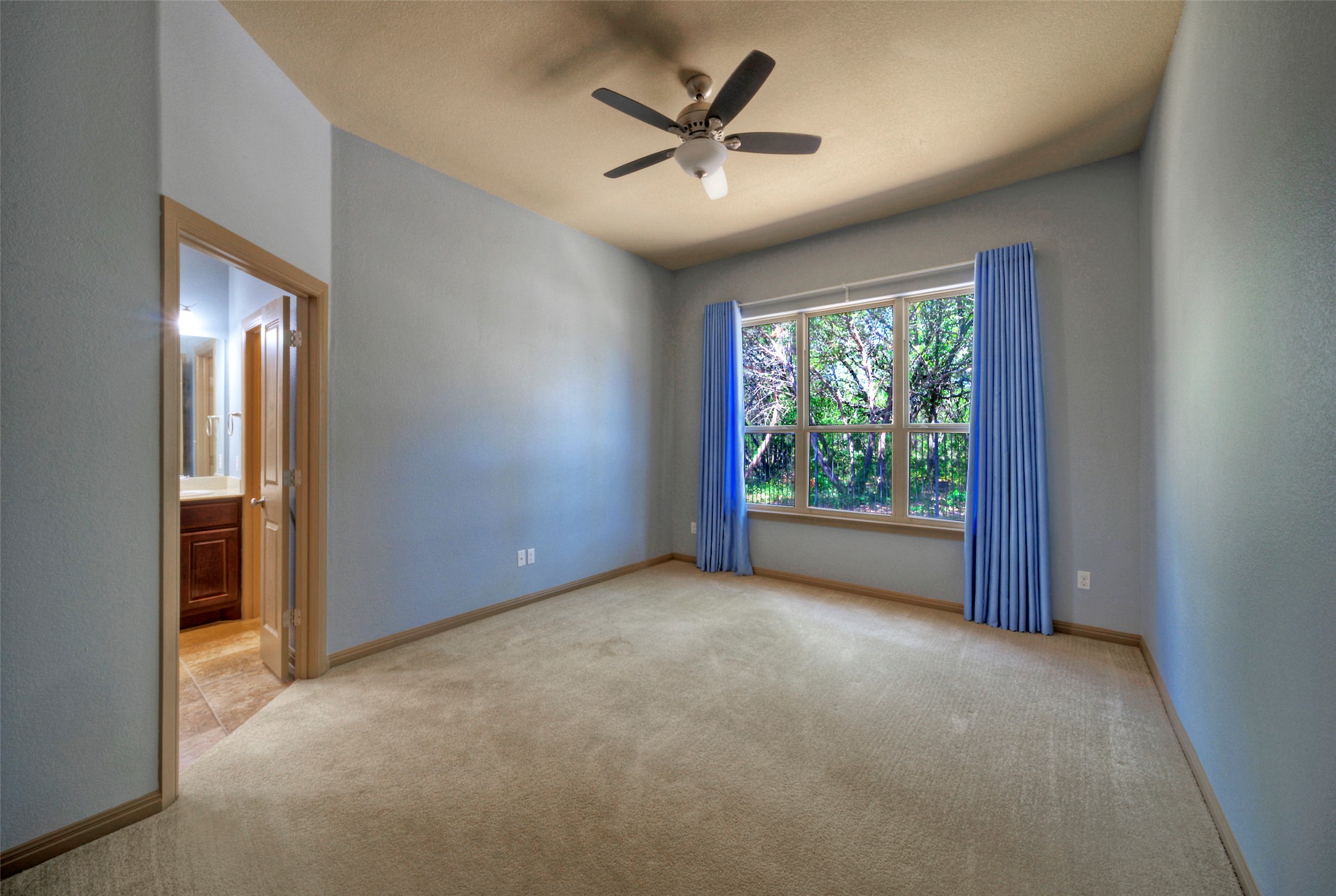 1601 Nelson Ranch Loop Cedar Park, TX 78613 - Photo 20 of 30 High ceilings and a large window framing leafy views define this quiet bedroom retreat.