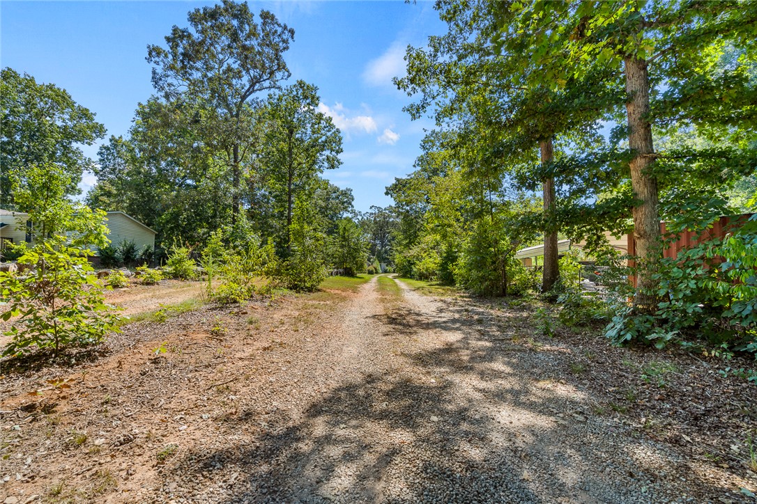 429 Gibson Road Anderson, SC 29625 - Photo 45 of 47 A long gravel driveway winds through mature trees on this expansive wooded property.