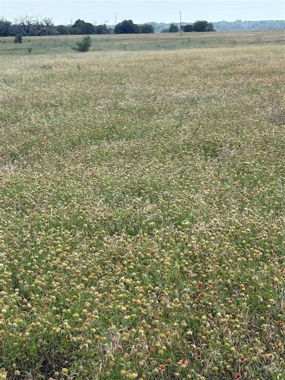 3565 China Spring China Spring, TX 76633 - Photo 3 of 6