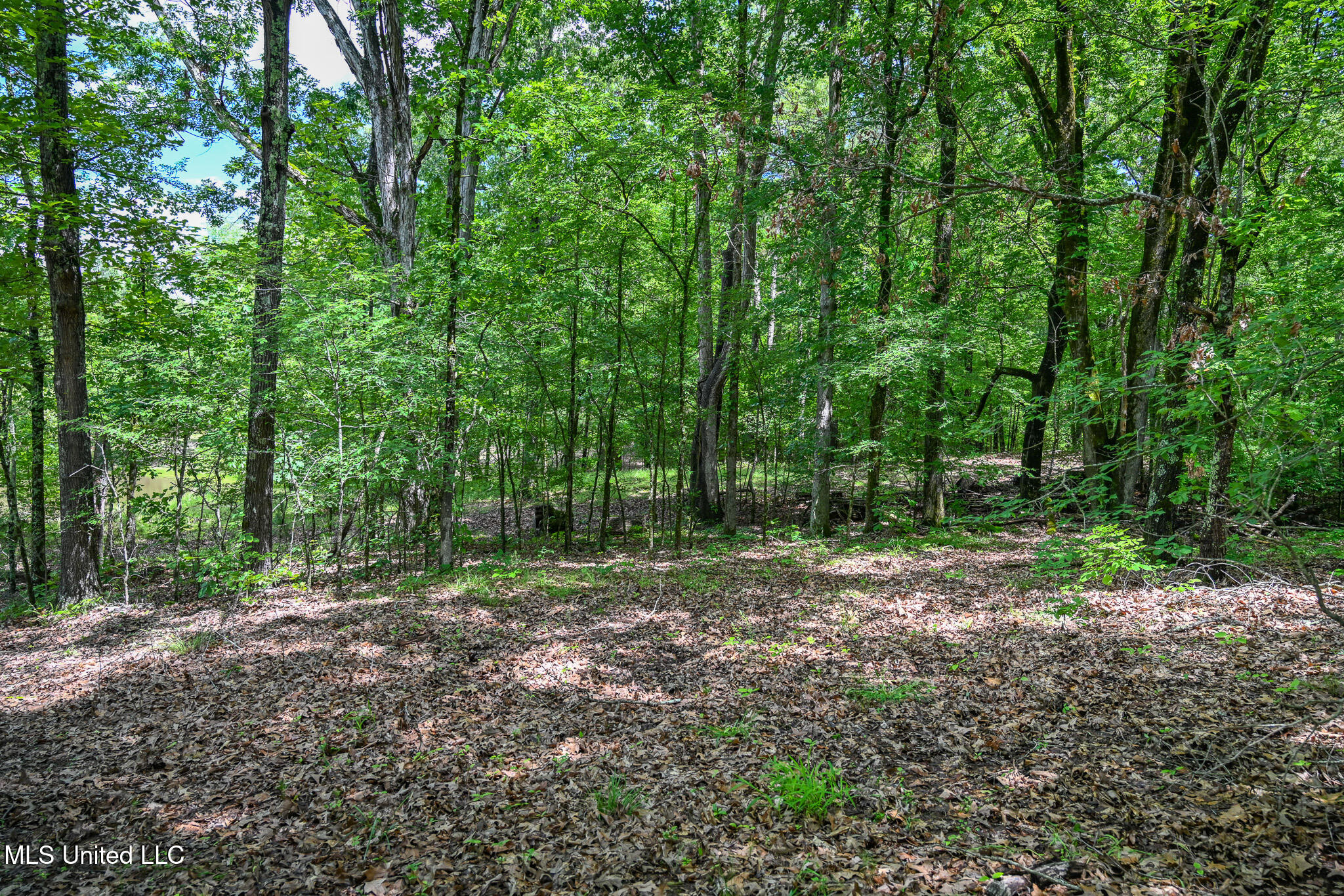 Lot 2 Woodlawn Road Byhalia, MS 38611 - Photo 5 of 11 Woodlawn Rd Lot 2
