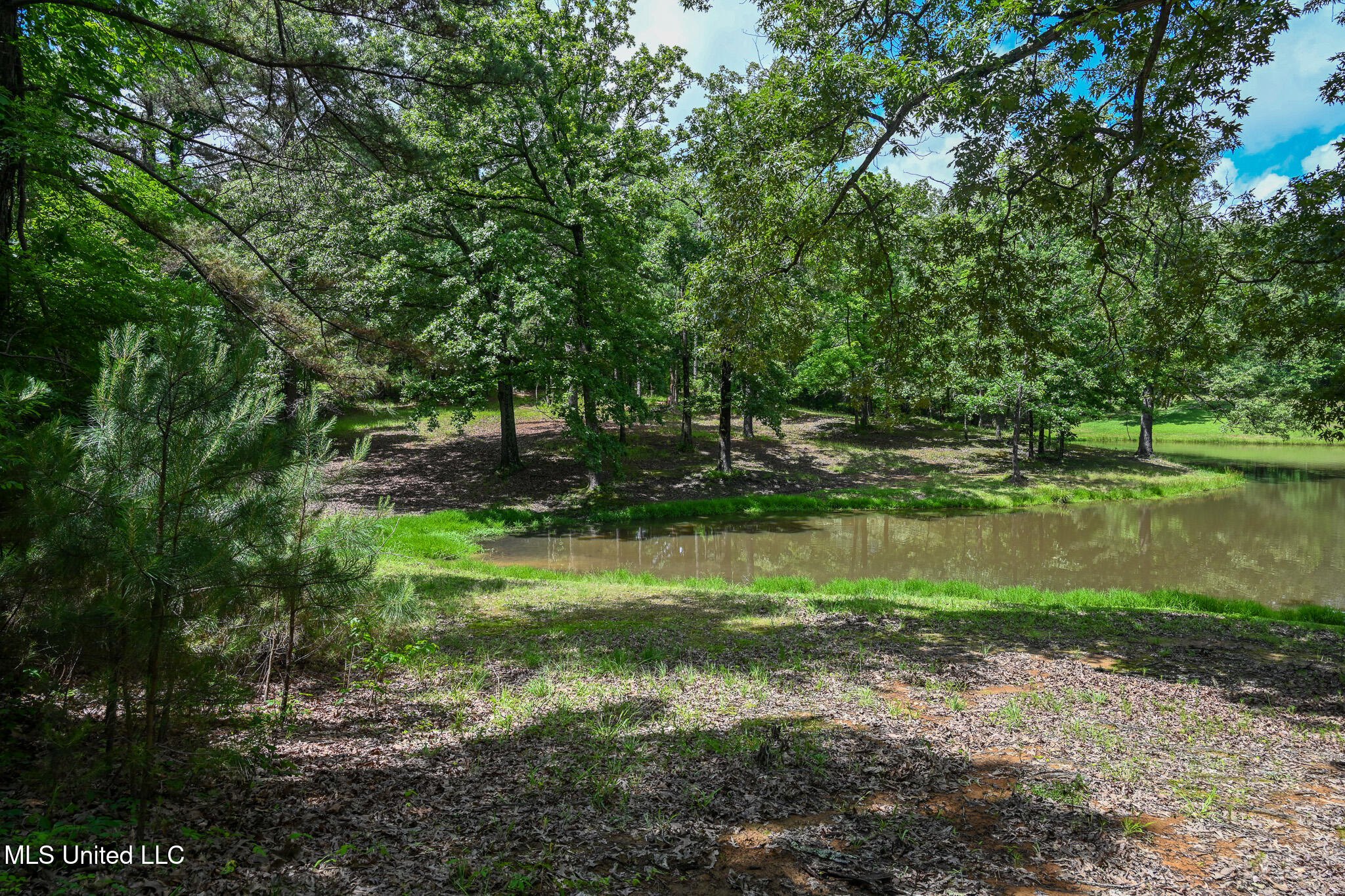 Lot 2 Woodlawn Road Byhalia, MS 38611 - Photo 6 of 11 Woodlawn Rd Lot 2