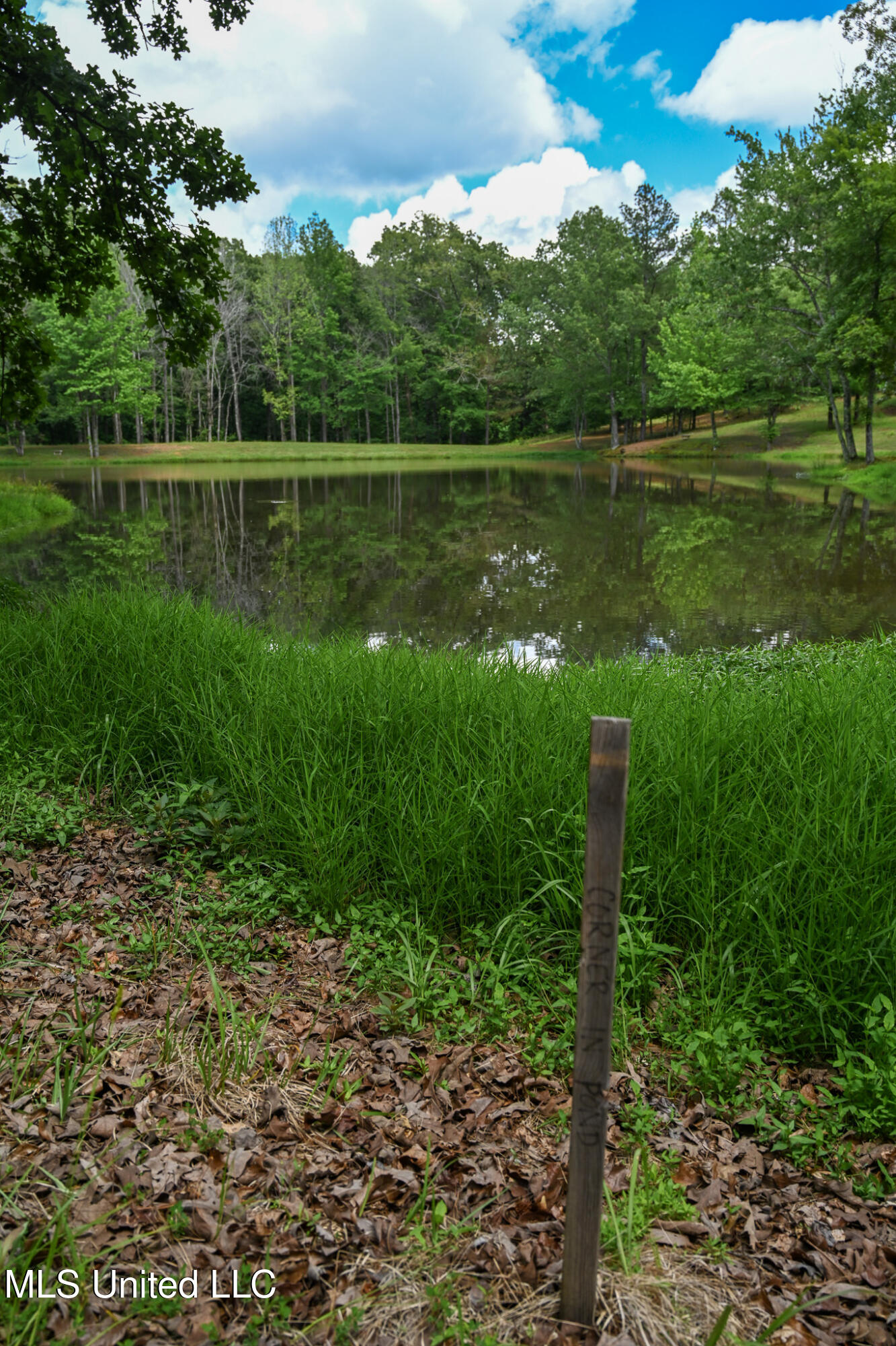 Lot 2 Woodlawn Road Byhalia, MS 38611 - Photo 7 of 11 Woodlawn Rd Lot 2