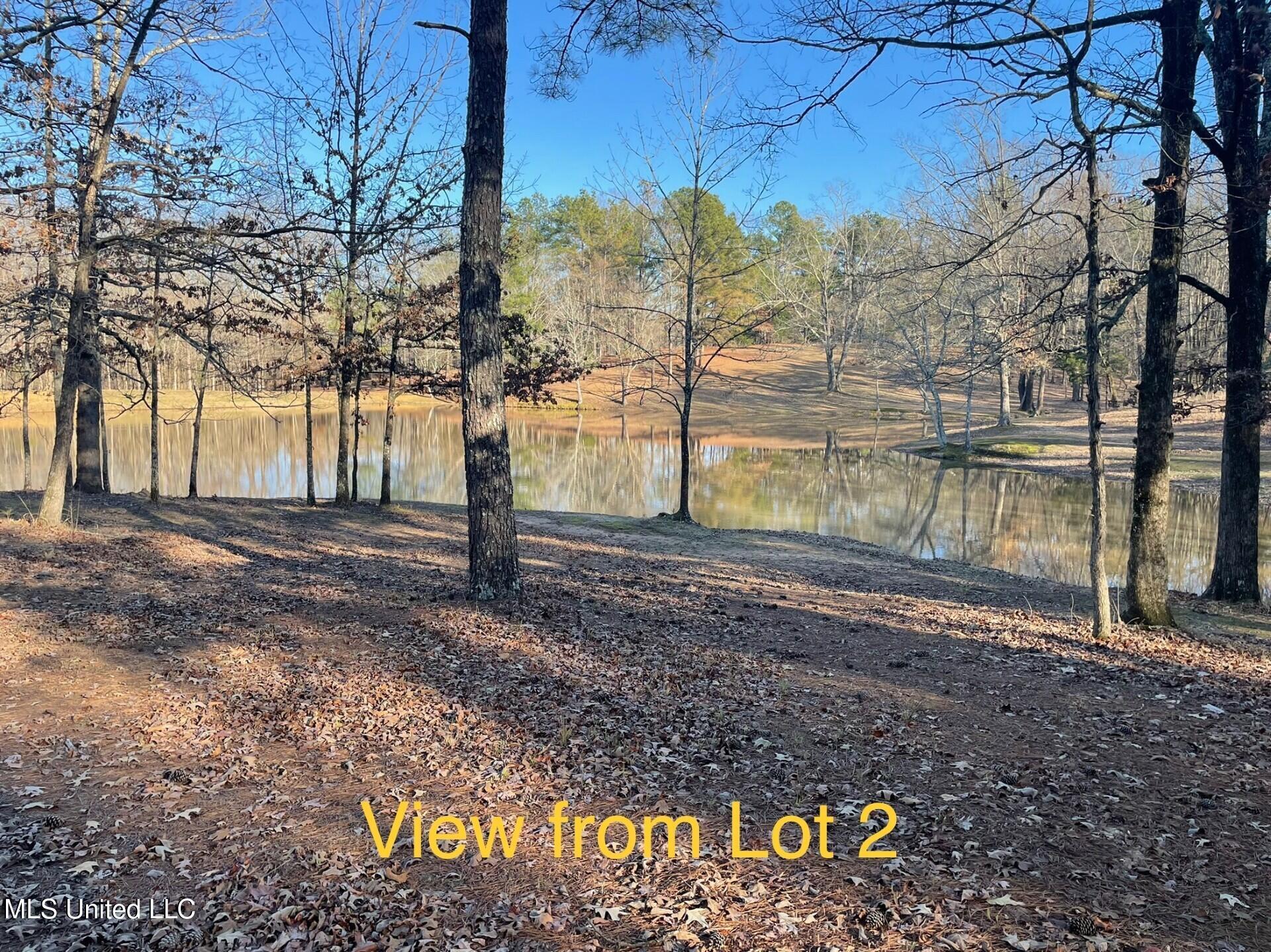 Lot 2 Woodlawn Road Byhalia, MS 38611 - Photo 9 of 11 Woodlawn Rd Lot 2