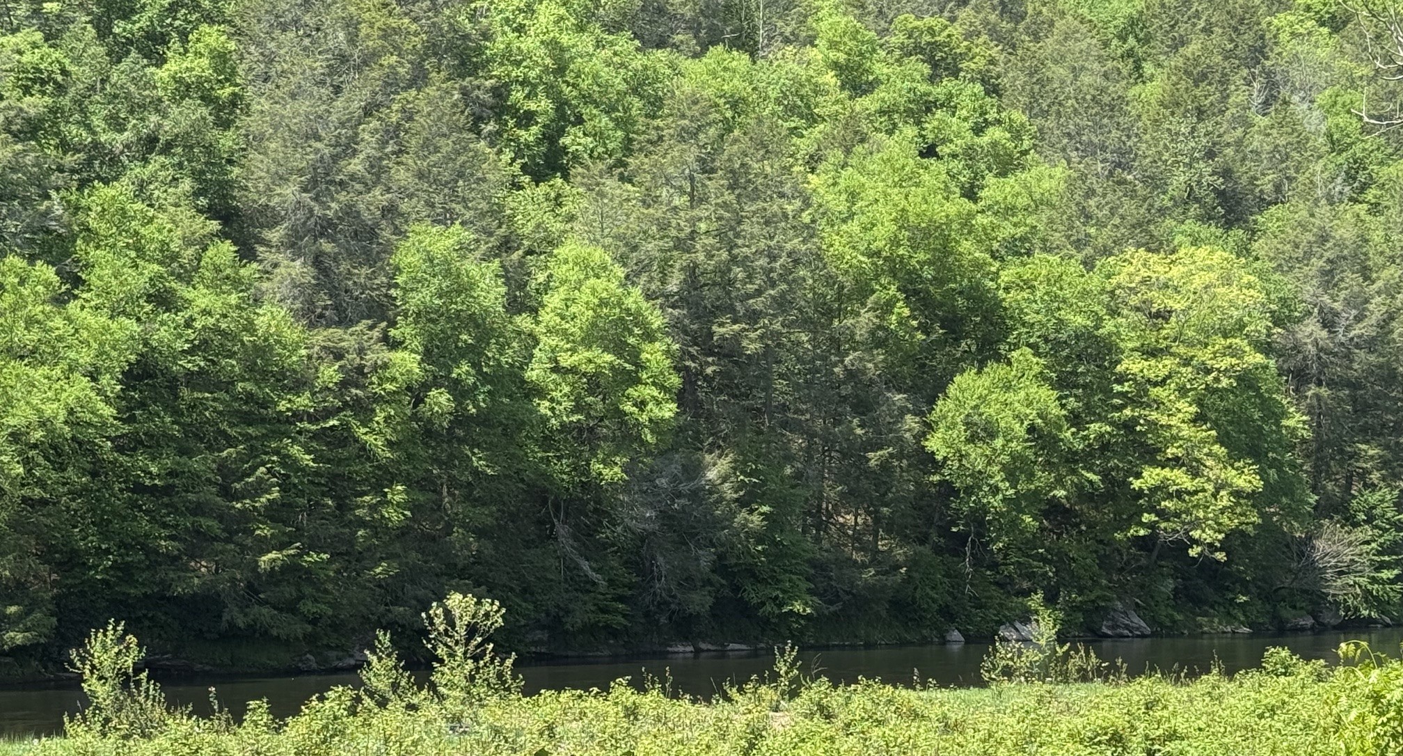 200 Peters Road Hancock, NY 13783 - Photo 12 of 45