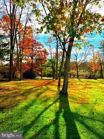 a view of an ocean with large trees