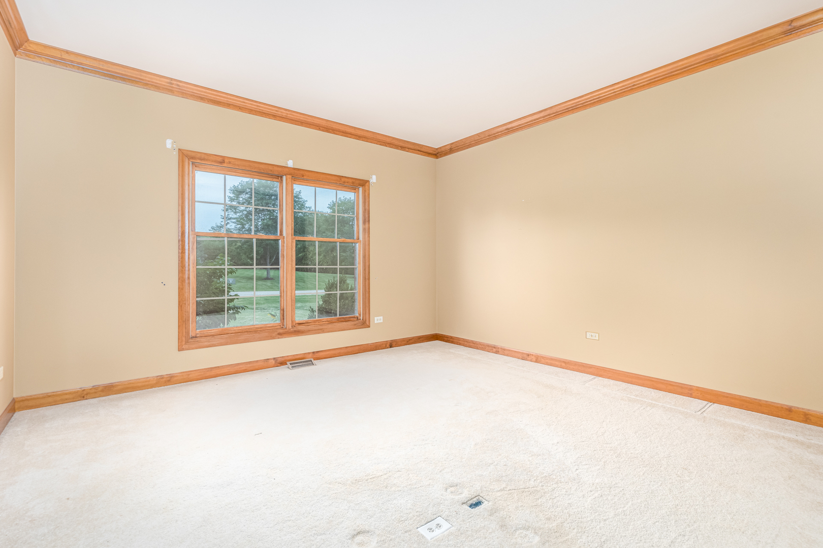 6N915 Ridge Line Road St. Charles, IL 60175 - Photo 14 of 46