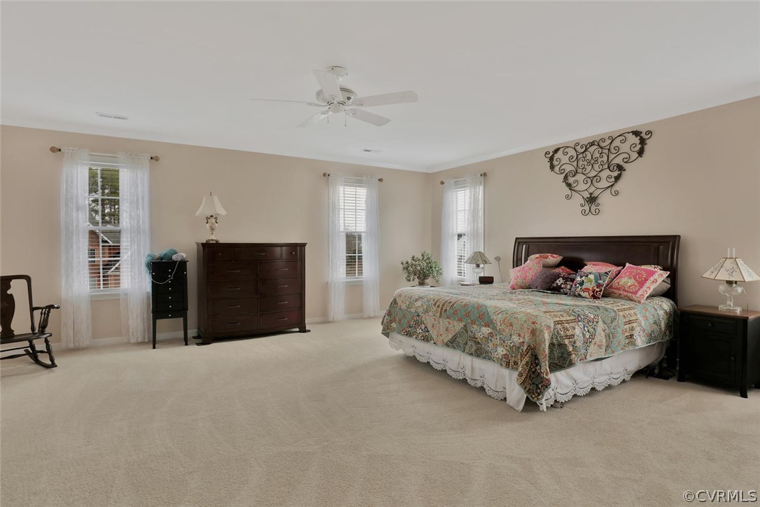 1006 Goswick Ridge Road Midlothian, VA 23114 - Photo 23 of 35