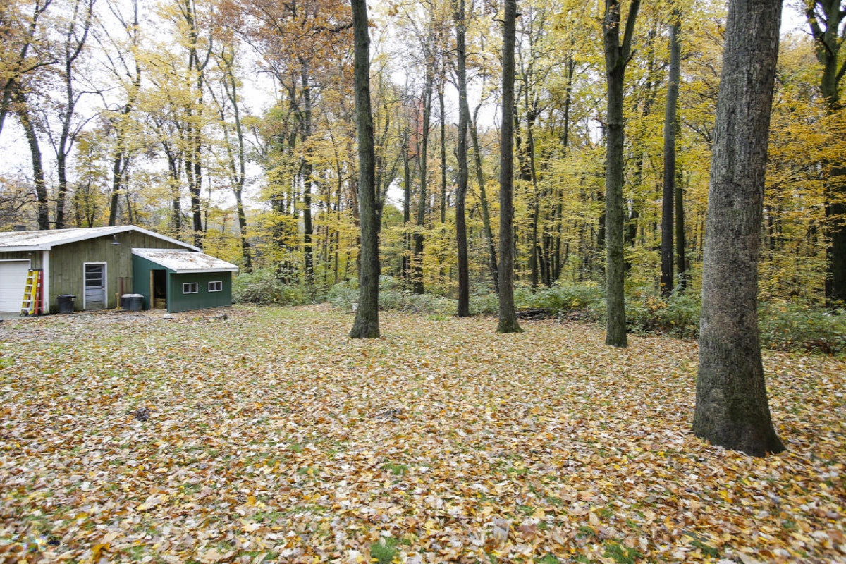 1799 West Cloverdale Road Dowling, MI 49050 - Photo 22 of 30 1799 cloverdale road-122