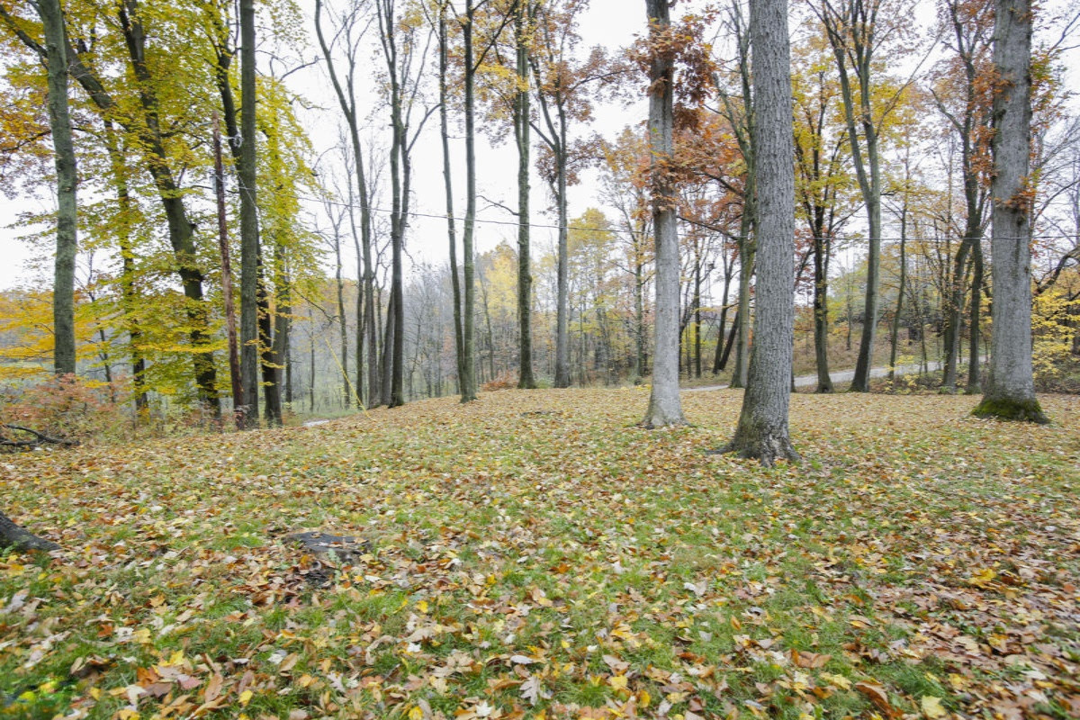 1799 West Cloverdale Road Dowling, MI 49050 - Photo 23 of 30 1799 cloverdale road-123