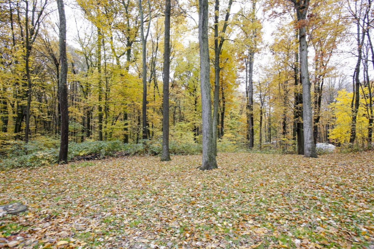 1799 West Cloverdale Road Dowling, MI 49050 - Photo 28 of 30 1799 cloverdale road-128