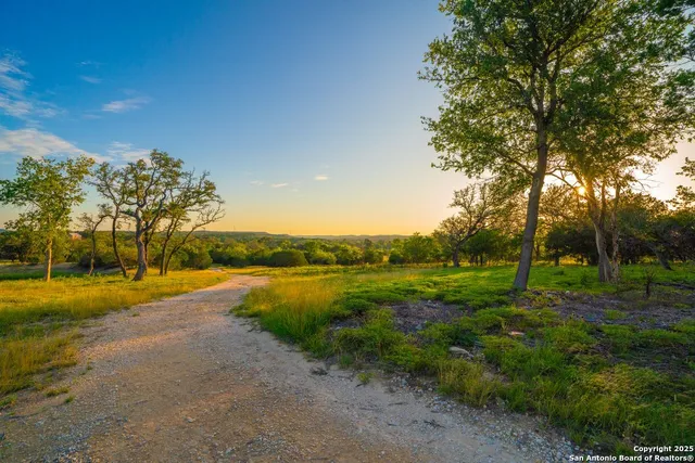 a view of an ocean with a large tree