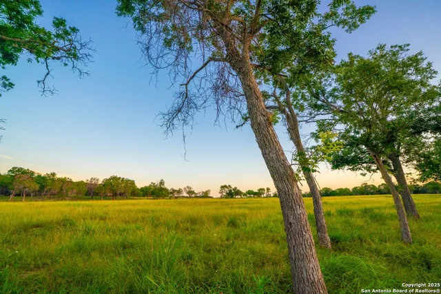 a view of yard with ocean view