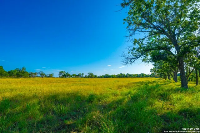 a view of an ocean from a yard