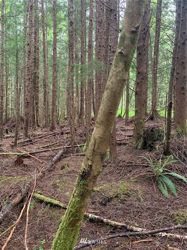 500 Grant Road Port Angeles, WA 98363 - Photo 1 of 4 Gallery Image 1