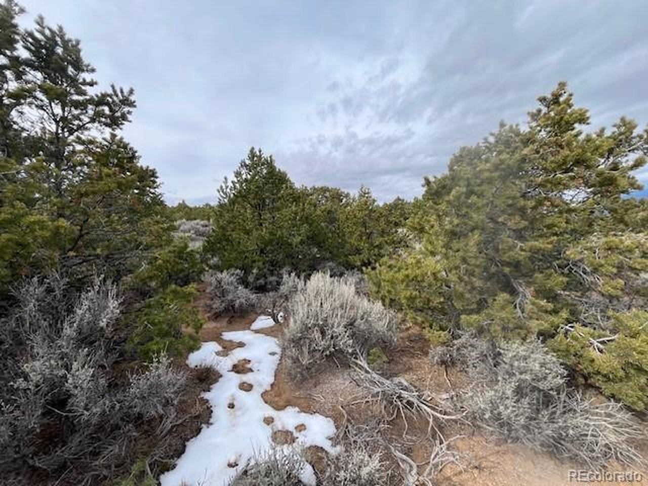 14 St Timothy Road Fort Garland, CO 81133 - Photo 9 of 24 Gallery Image 9