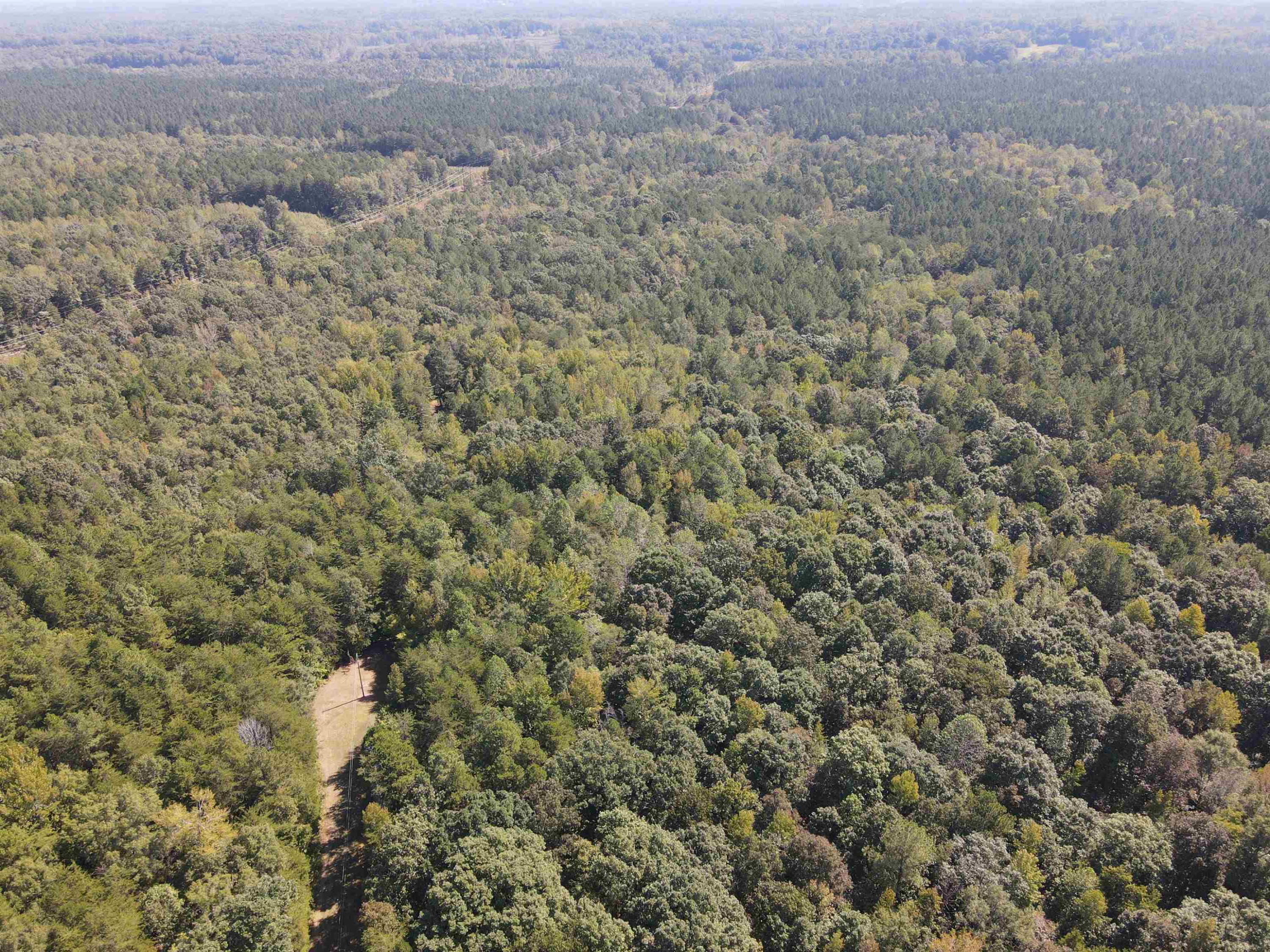 Noel Tuck Road Oxford, NC 27565 - Photo 27 of 34 Photo 27