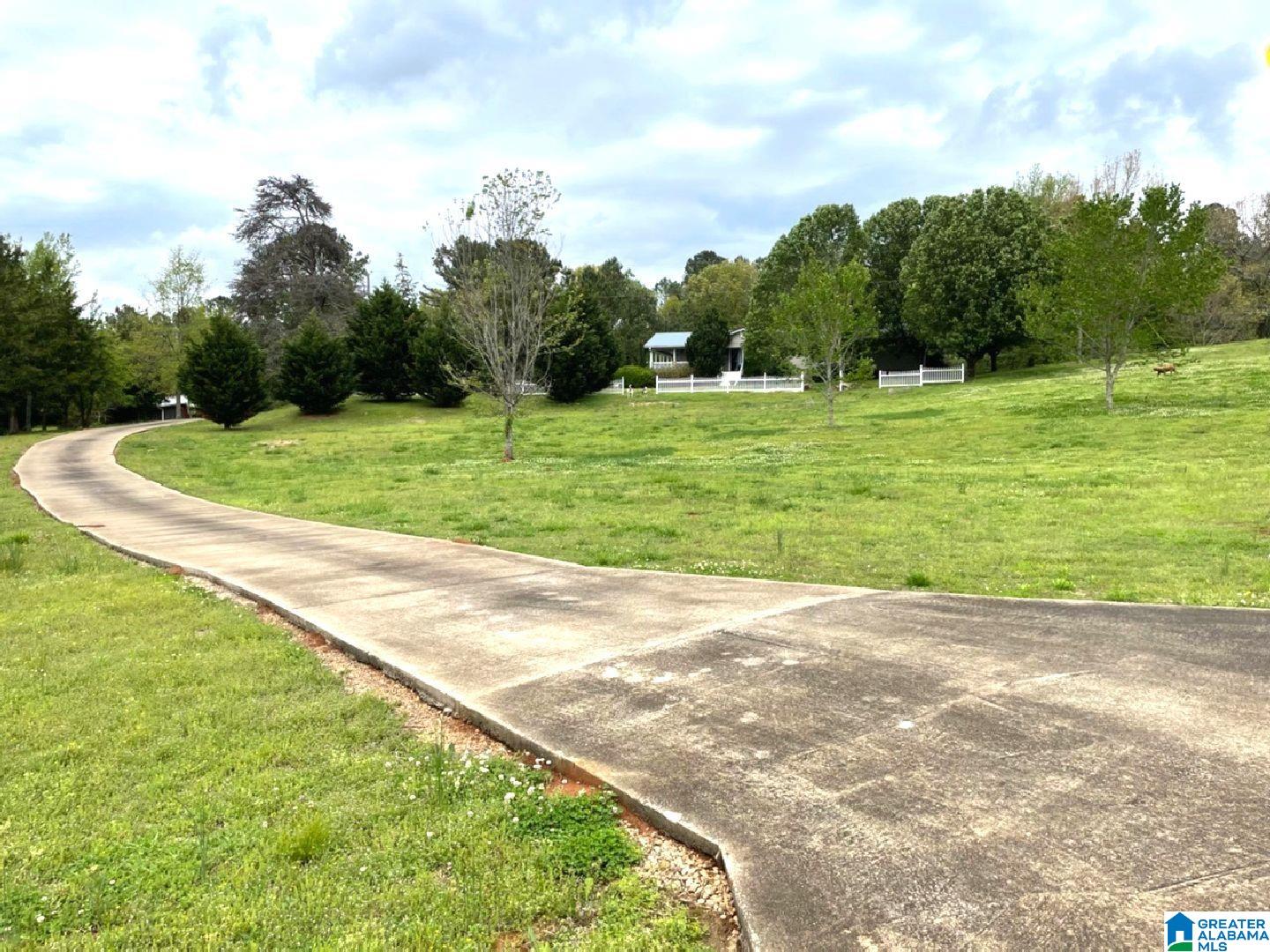 2509 Lees Bridge Road Delta, AL 36258 - Photo 26 of 45