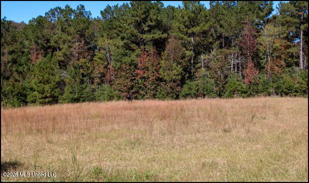 4056 Gibson Road McComb, MS 39648 - Photo 4 of 21 Screenshot 2026-05-26 143500