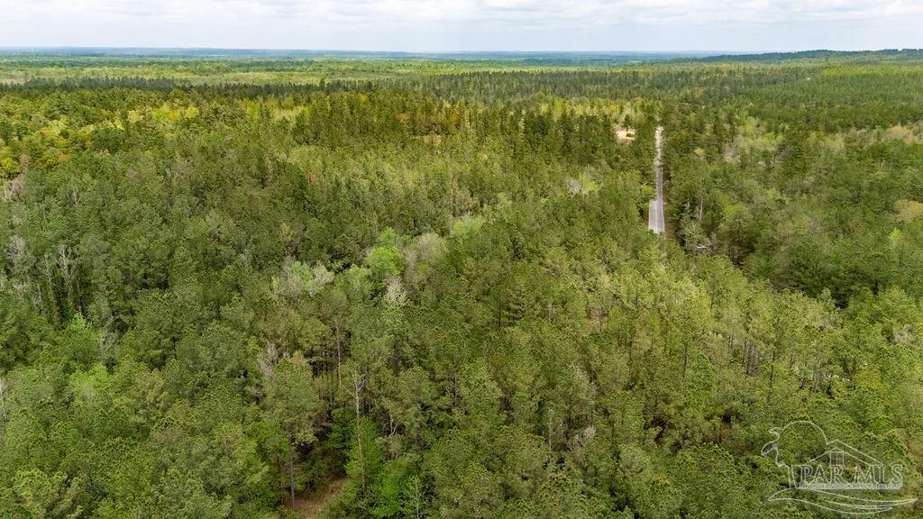 4660 Morristown Road Jay, FL 32565 - Photo 11 of 50