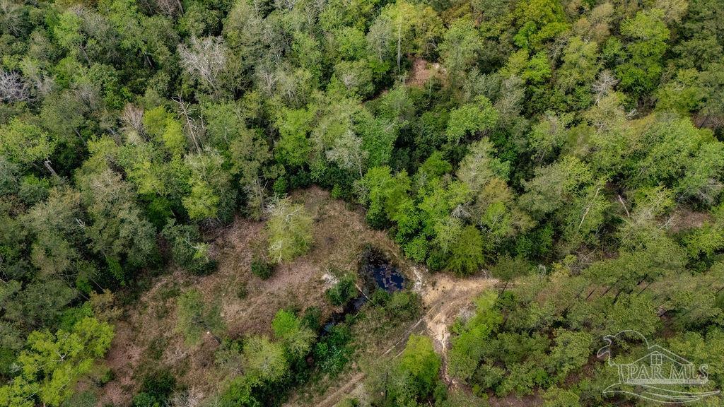 4660 Morristown Road Jay, FL 32565 - Photo 15 of 50